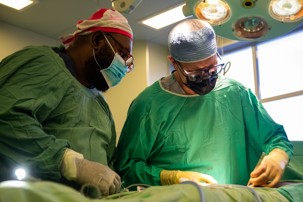 U.S. Navy Surgeons Perform Side-by-Side Laparoscopic Surgery at the Gizo Medical Hospital