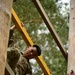 Bulll Troop O-Course