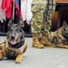 Military Working Dog retirement