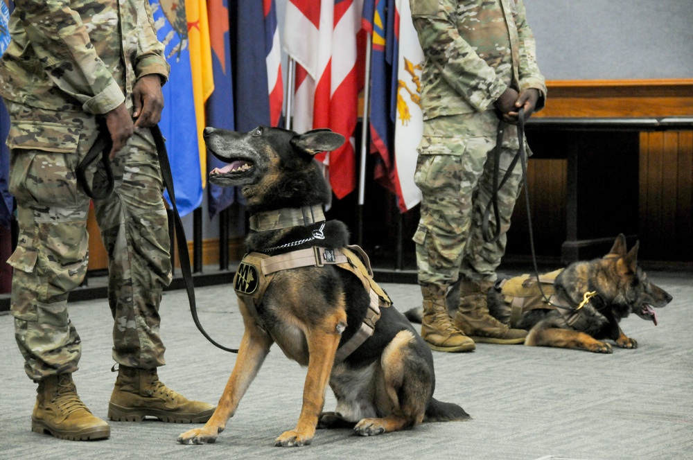 Military Working Dog retirement