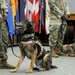 Military Working Dog retirement