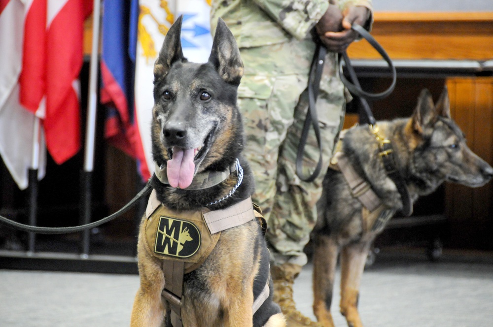 Military Working Dog retirement