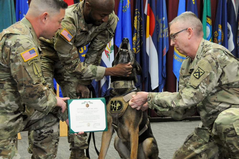 Military Working Dog retirement