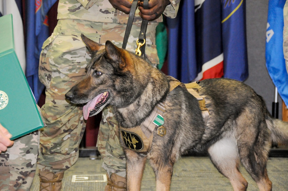 Military Working Dog retirement