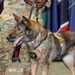 Military Working Dog retirement