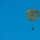 SERE Parachute Training