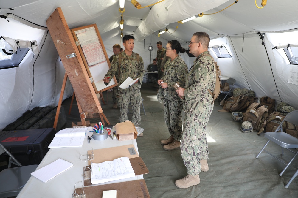 CECOS Basic Class 273 FTX