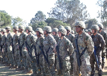 CECOS Basic Class 273 FTX