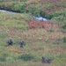 Air Force special warfare Airmen and Army aviators conduct airborne training in Alaska