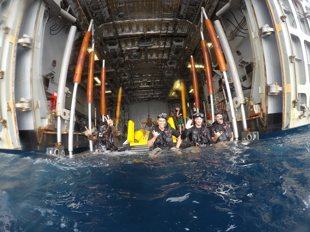 USS Billings Conducts a Swim Call