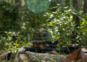 2nd ANGLICO, ABC Infantry Week