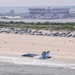 Jones Beach Airshow