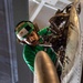 Daily Operations aboard USS George H.W. Bush (CVN 77)