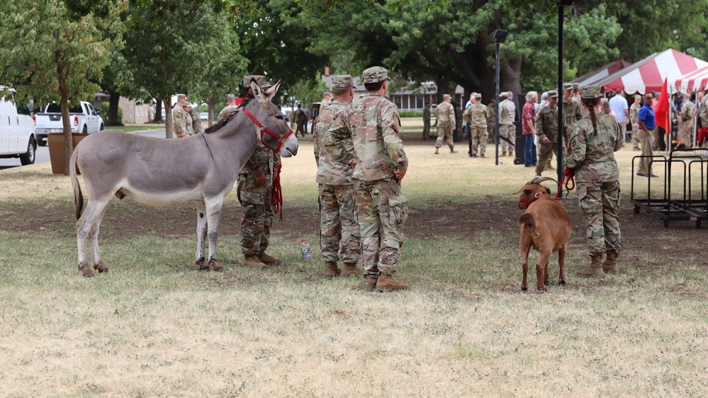 2nd Battalion, 2nd Field Artillery Regiment: A photo essay