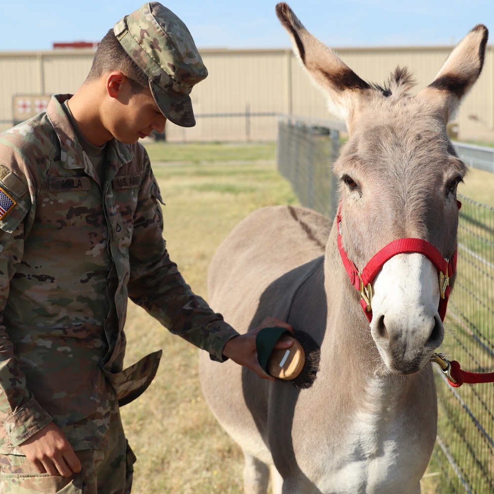 2nd Battalion, 2nd Field Artillery Regiment: A photo essay