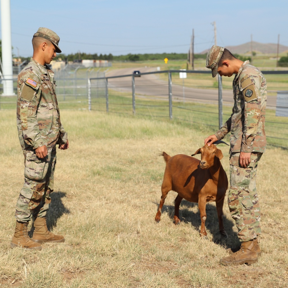 DVIDS - Images - 2nd Battalion, 2nd Field Artillery Regiment: A Photo ...