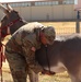 2nd Battalion, 2nd Field Artillery Regiment: A photo essay