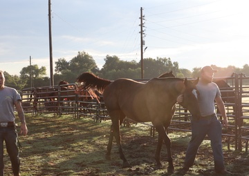 2nd Battalion, 2nd Field Artillery Regiment: A photo essay