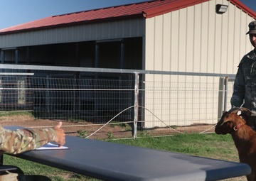 2nd Battalion, 2nd Field Artillery Regiment: A photo essay