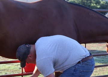 2nd Battalion, 2nd Field Artillery Regiment: A photo essay