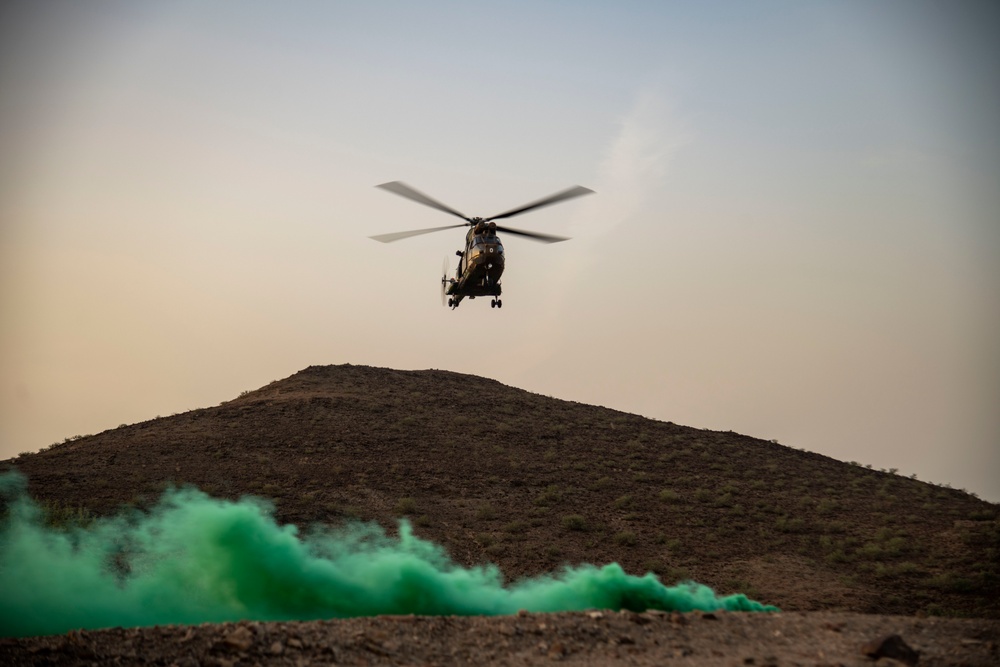 Task Force Red Dragon conducts live-fire exercise with French Forces in Djibouti