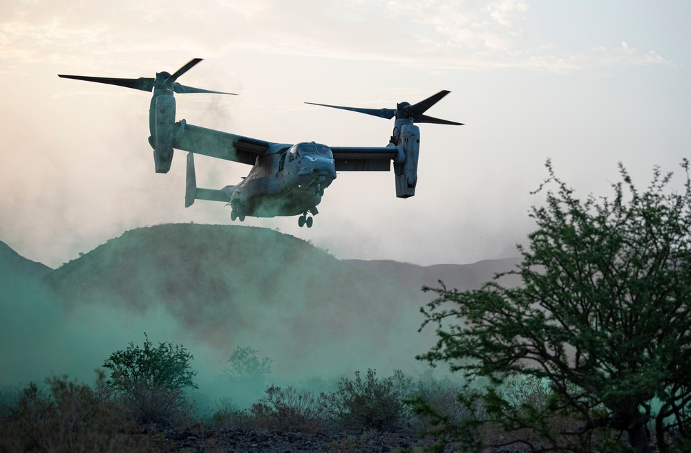 Task Force Red Dragon conducts live-fire exercise with French Forces in Djibouti