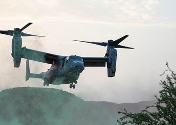 Task Force Red Dragon conducts live-fire exercise with French Forces in Djibouti