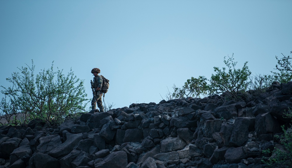 Task Force Red Dragon conducts live-fire exercise with French Forces in Djibouti