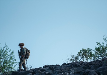 Task Force Red Dragon conducts live-fire exercise with French Forces in Djibouti