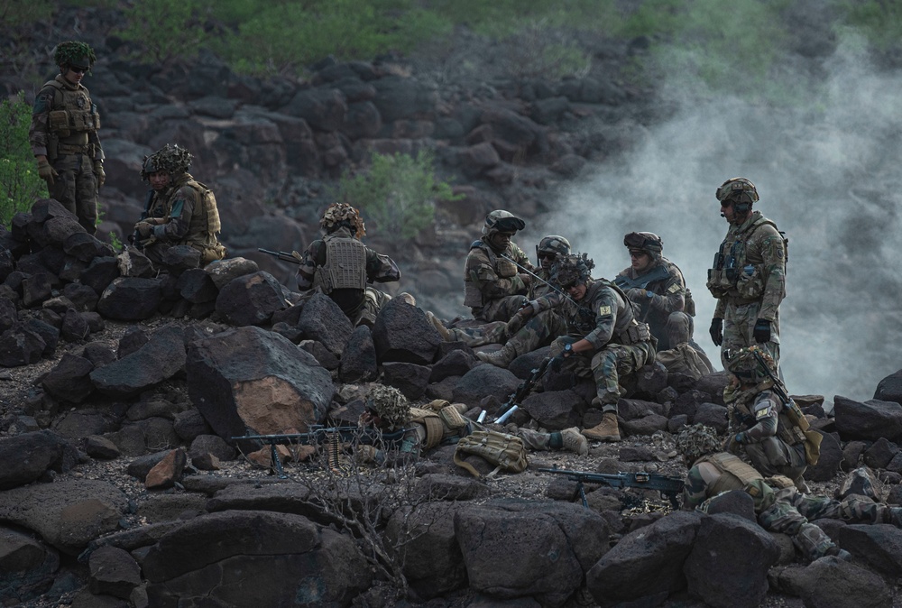 Task Force Red Dragon conducts live-fire exercise with French Forces in Djibouti