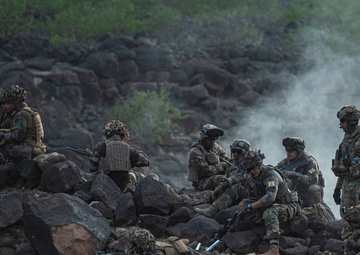Task Force Red Dragon conducts live-fire exercise with French Forces in Djibouti