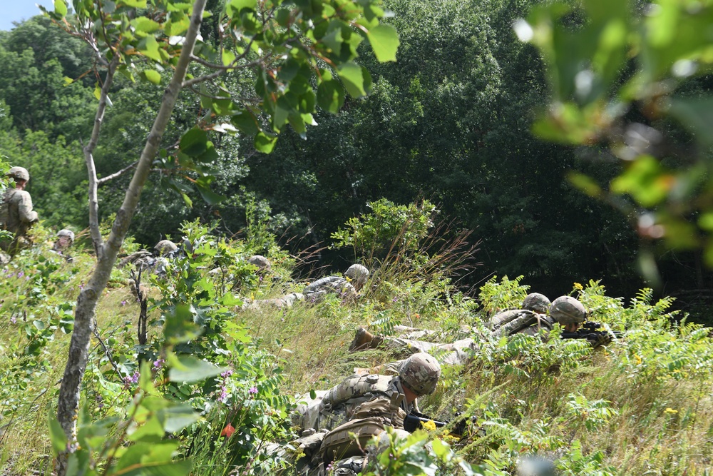 Cooperation and Opportunity Increase Training Value on Camp Ripley