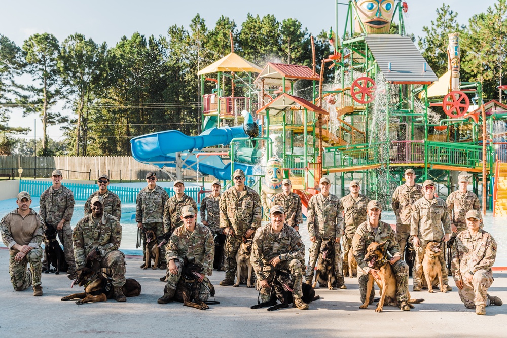 K9 water confidence training