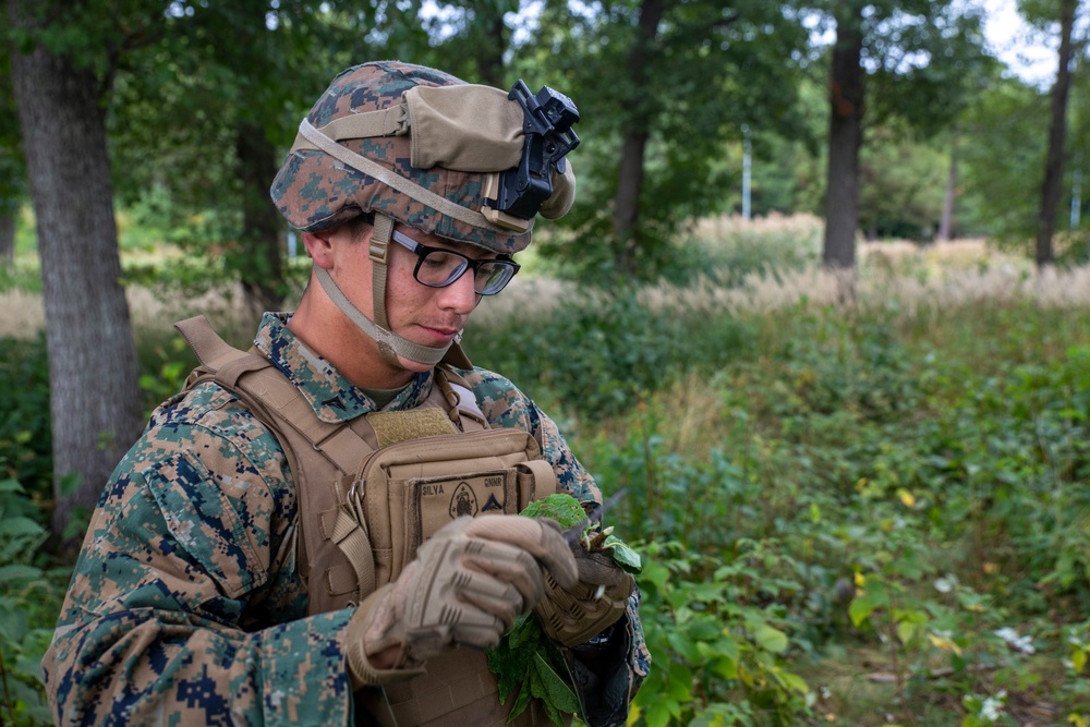 U.S. Marines apply military concealment techniques