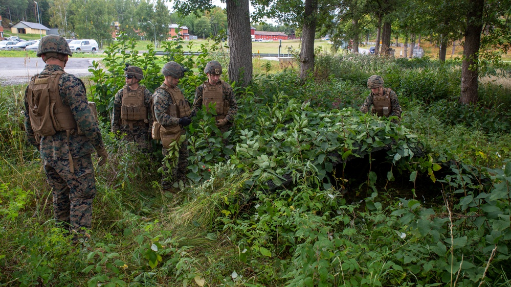 U.S. Marines apply military concealment techniques