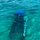 Coast Guard repatriates 82 people to Cuba