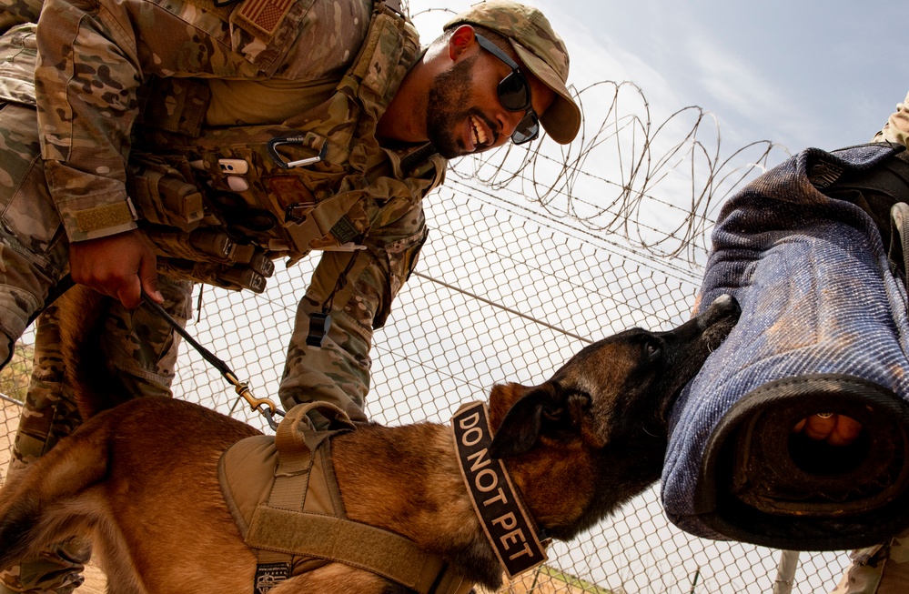 Faces of Air Base 201