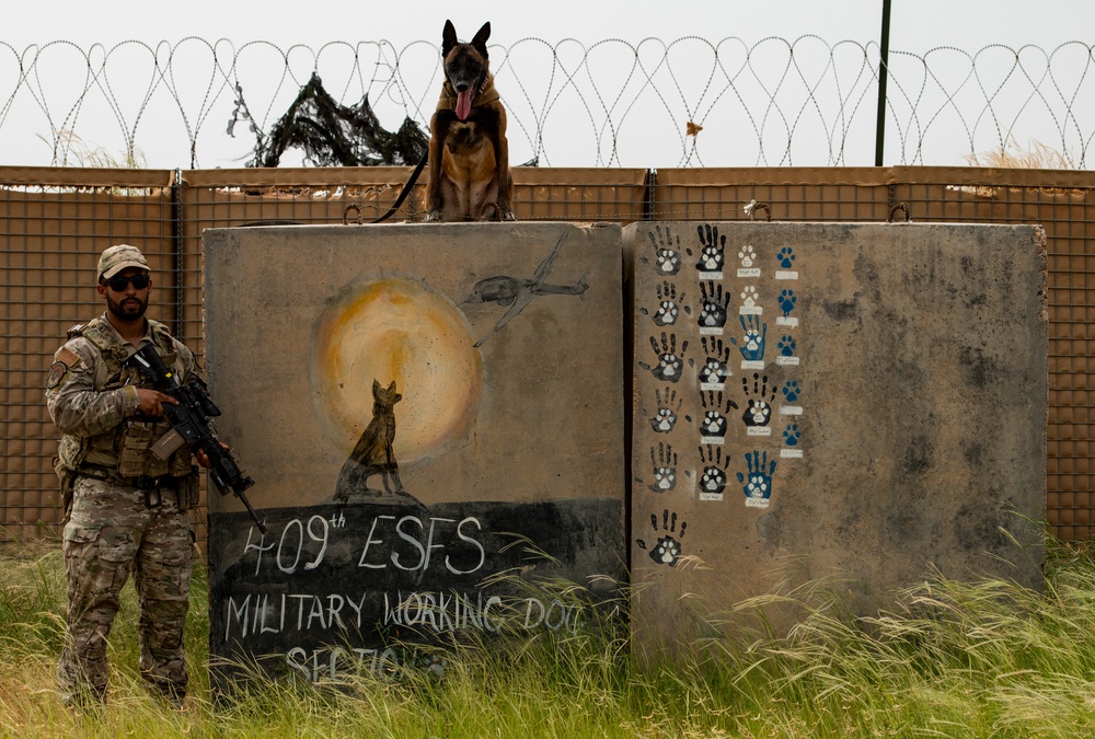 Faces of Air Base 201