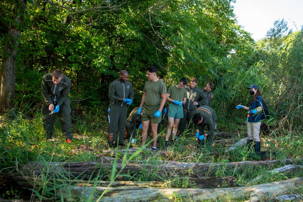 Maryland Fleet Week &amp; Flyover Baltimore 22 - Cove Clean Up