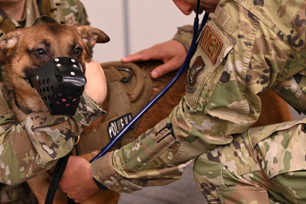 JBER Hospital 1st Joint TCCC-K9 Course