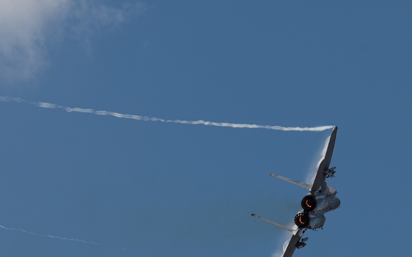 Oregon Air National Guard F-15s perform flyby in McMinnville, Ore.