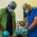 U.S. Navy doctors perform side-by-side surgery at Gizo Medical Hospital