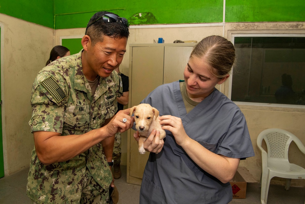 Pacific Partnership 2022 veterinarians operate at Solomon Islands Ministry of Agriculture and Livestock