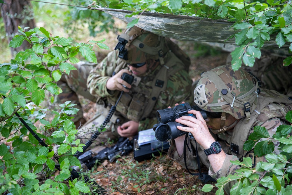 173rd Airborne Brigade at Saber Junction 22