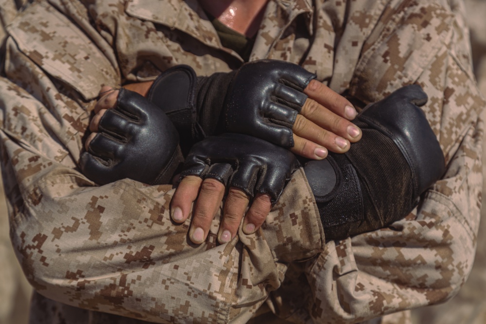 Hotel Company Combat Conditioning Course