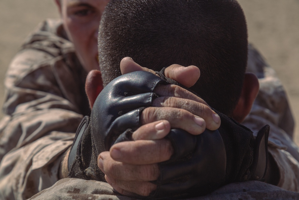 Hotel Company Combat Conditioning Course