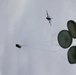 173rd Airborne Brigade conducts heavy drop during Saber Junction