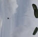 173rd Airborne Brigade conducts heavy drop during Saber Junction