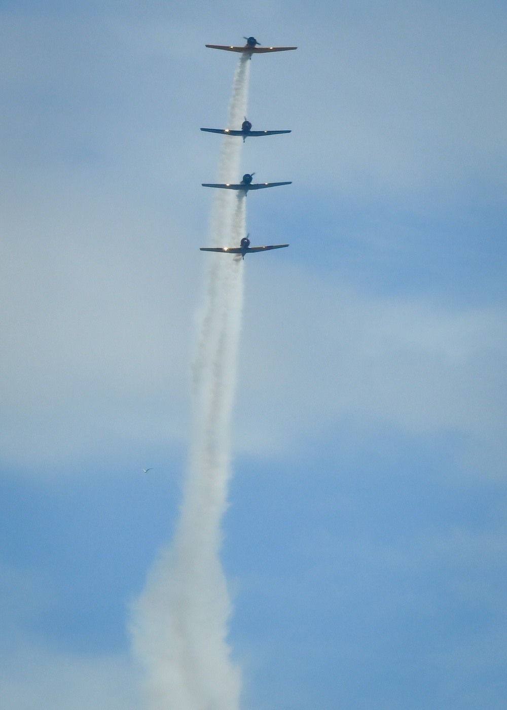 T-6s on display during Fleet Week Baltimore
