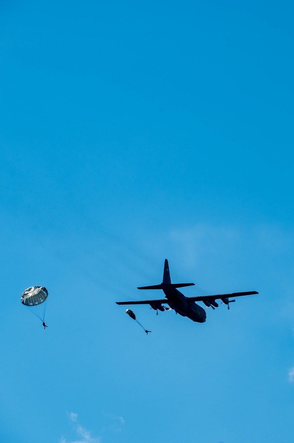 Airdrop during Family Day at 182nd Airlift Wing